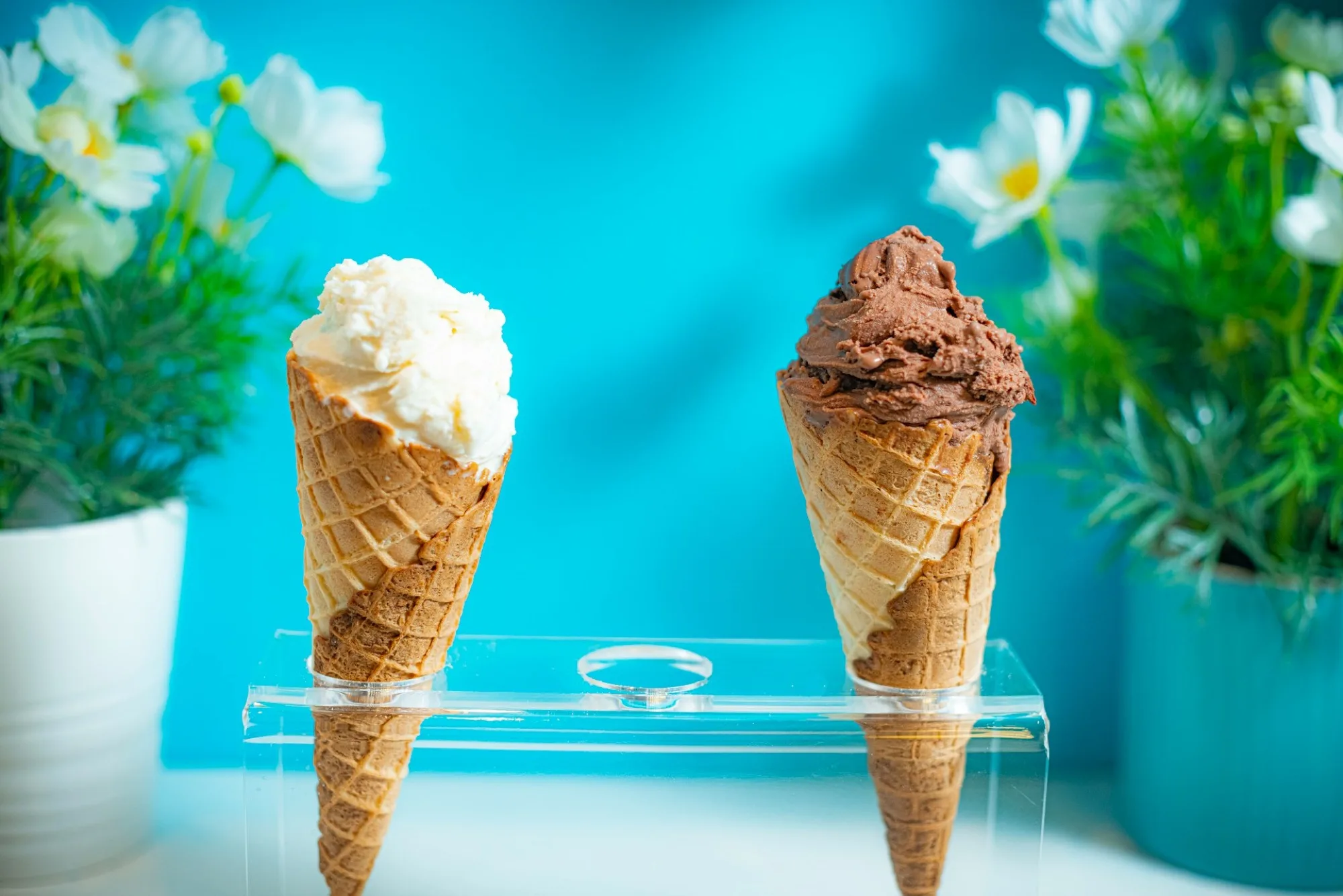 Zwei Eiswaffeln mit Vanille- und Schokoladeneis vor blauem Hintergrund