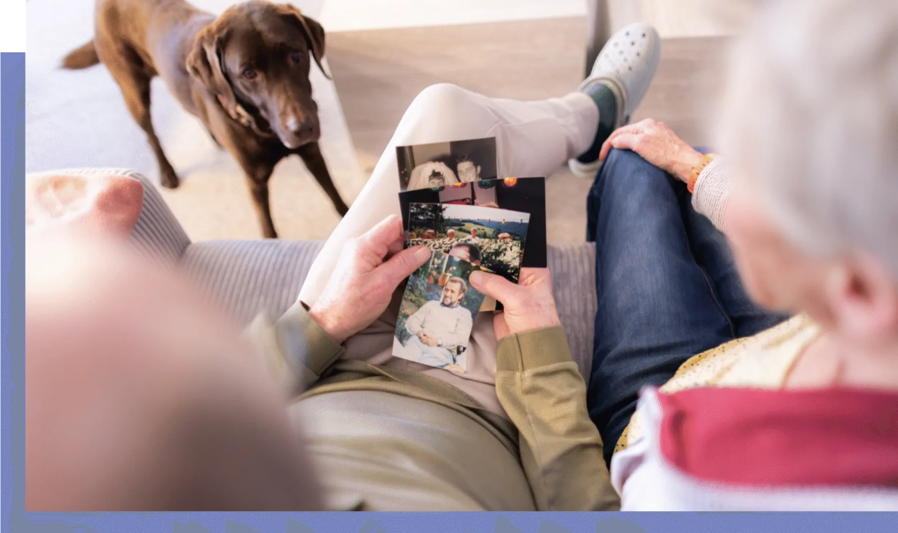 Alte Familienfotos werden betrachtet, der Hund schaut zu