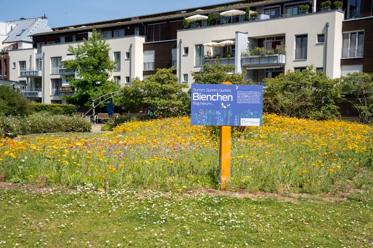 Einweihungsfeier des neugestalteten Innenhofs im Medienhafen – Ansicht 2