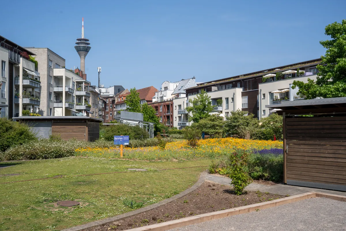Einweihungsfeier des neugestalteten Innenhofs im Medienhafen – Ansicht 7